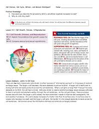 Cells alive cell cycle worksheet answers lobo black. Cell Division Cell Cycle Mitosis And Meiosis Webquest