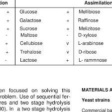 Праздник сегодня / сегодня праздник / какой сегодн. The Results Of Assimilation And Fermentation Tests For The Isolated Yeast Download Table