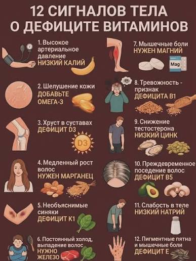 🩺 12 �������� ����, ������� ������ ������������ ���� ���� ...