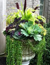 We know you will wish to jump right. Pin On Container Planting