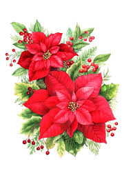 Poinsettias Clip Art Big 700x1087 Christmas Png Christmas Decoupage Christmas Flowers Christmas Illustration