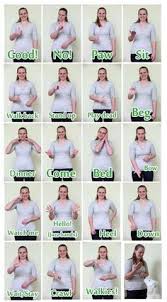 45 Best Dog Sign Language Images In 2019 Dog Sign Language