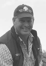 POLL DORSET SHEEP IN AUSTRALIA