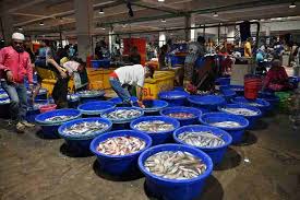 Kolesterol tinggi ditunjang dari makanan yang mengandung lemak jenuh, berminyak dan juga memiliki kandungan kolesterol yang tinggi. China Larang Import Produk Laut Dari Indonesia