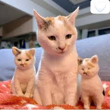 This is so adorable. Mommy and me 💕