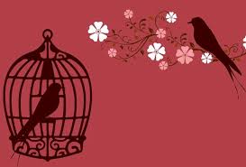 Namun, radiokarbon dalam tulang anak itu mengungkap bagaimana kehidupannya begitu keras dan dia menderita kekurangan gizi. Hukum Memelihara Burung