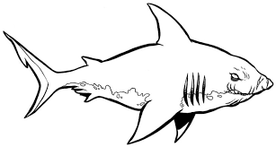 Link download bermacam contoh mewarna ikan yang bermanfaat dan boleh. Mewarnai Gambar Ikan Hiu Mewarnai Gambar