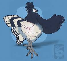 343315 - safe, artist:thebombird, oc, oc:viviana (thebombird), bird, bird  of prey, eagle, harpy eagle, anthro, beak, butt, fat, feathers, female,  huge butt, obese, solo, solo female, spread wings, tail, tail feathers,  thick thighs, thighs HD phone wallpaper