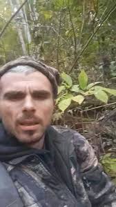 Identifying Ginseng in a Photo