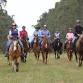 Horsemanship Immersion 2 Week Course event image