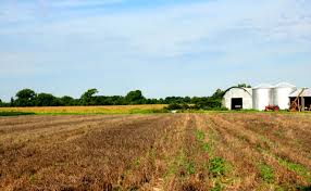 If you learn well from courses, the herbal academy has a wildcrafting course to get you started. 27 Ways To Make Money From Your Small Farm Toughnickel