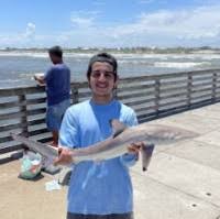 50+ "Adriel" profiles