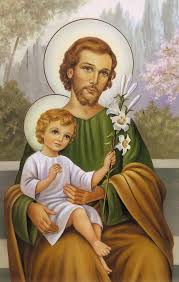 Sao jose hotels with a pool. Index Of Site Wp Content Uploads 2018 03