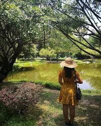 25, medan istana 6, bandar ipoh raya, 30000 ipoh, negeri peraki osariik, malaisia. Japanesegarden Ipoh Perak Malaysia Garden Nature Recreational Parks Japanese Garden Park