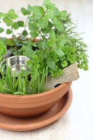 Diy Katzengarten Fur Wohnungskatzen Selber Machen Mary Loves Katzengarten Garten Garten Und Outdoor