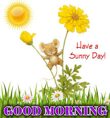 Sunnymonday413 facebook, twitter, instagram, snapchat, vine, youtube. Good Sunny Monday Morning Page 1 Line 17qq Com