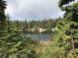 Maybe you would like to learn more about one of these? Black Mountain And Cabin Lake British Columbia Canada Alltrails
