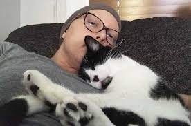 The most common tumor is prostatic adenocarcinoma. Woman Credits Pet Cat With Detecting Breast Cancer Saving Life