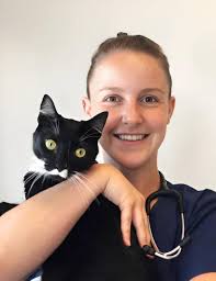 Veterinarian In Atlanta, GA