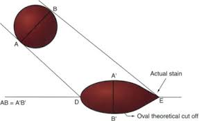 Right triangle trigonometry page 1 of 15 right triangle trigonometry objectives: Trigonometry An Overview Sciencedirect Topics