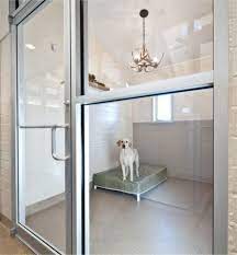 Kickapoo Ranch Pet Resort Luxury Suite Guests Enjoy Plush Kuranda Beds Chandeliers Flat Screen Color Televisions A Luxury Dog Pet Resort Dog Boarding Kennels