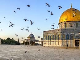 Israel allows 1,000 covid vaccines into gaza after delay. Kreuzfahrten Nach Israel Preise Angebote Und Aktionen Costa Kreuzfahrten