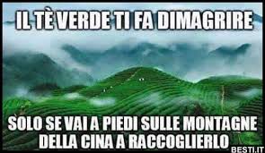 Il tè verde fa anche dimagrire? Il Te Verde Ti Fa Besti It Immagini Divertenti Foto Barzellette Video