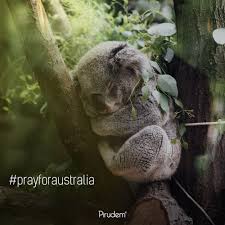 Dualarimiz Avustralya Icin Prayforaustralia 2020 Avustralya
