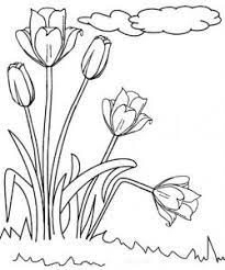 Gambar diatas adalah contoh gambar bunga di kebun, bunga matahari, bunga poppy, dan bunga tulip. Cara Mewarnai Gambar Bunga Tulip Mewarnai Gambar