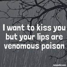 Lyricart For Poison By Alice Cooper Classic Rock Lyrics Alice Cooper Song Memes