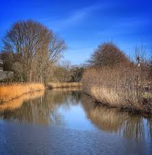 Test van een osmo mobile 2 en iphonex. Molsbroek Buylaers Wandelroute De Tweezame