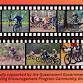 Women's Advanced Mountain Bike Course - 2nd, 9th event image