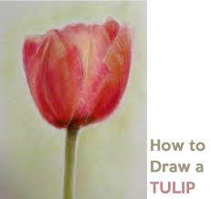 Easy nature scenery drawing for beginners | how to draw simple scenery of mountain and river step by step.hi, welcome to my channel 'how to draw easy scenery. Drawing Nature Archives How To Draw Step By Step Drawing Tutorials