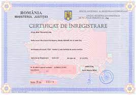 Autodeztlk firma autorizata de dezmembrari auto cu o gama larga de piese pentru cele mai folosite marci. Kontakt Lol Et Lola