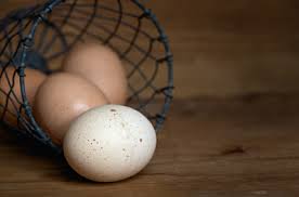 Your nest egg is what you use to be financially secure when you're no longer working or what you're saving up so that you can afford a dream elevate your bankrate experienc. Demeter Quality Organic Eggs Lindengut Farm Sale Near Fulda
