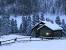 Snow Cabin Night