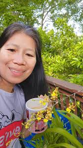 Gigantea Squirrel Tail Orchid.