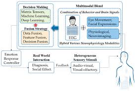 Brain Sciences Free Full Text Advances In Multimodal Emotion Recognition Based On Brain Computer Interfaces Html