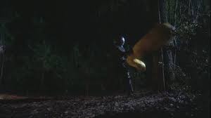 From the sleepaway camp series of horror films, angela baker has one of the highest body counts of any villain. 10 Of The Most Unique Horror Movie Kills Bloody Disgusting