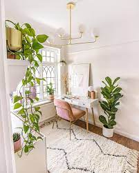 El bulbo produce brotes vigorosos de follaje de encaje en la primavera y permanece inactivo en el otoño. Inspirate Decorando Con Plantas De Interior Como Las Instagramers