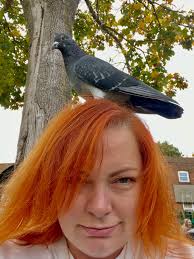 🐦 Pidge Wrapped 2025 🐦 Some of my favourite pidge pics from the last  twelve months. Here's to another year of being Mother of Pigeons. B xo  #pidge #pigeon #pigeonsofinstagram #pigeons #pigeonlover