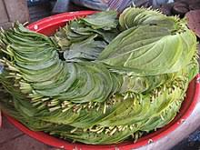 Betel leaf benefits, can be used as a natural treatment of a headache. Paan Wikipedia
