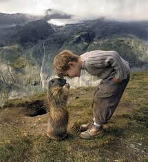 Friends Come In All Sizes And Shapes Animals Animals For Kids Animals Beautiful
