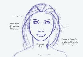 Your indigenous face stock images are ready. Human Anatomy Fundamentals Advanced Facial Features