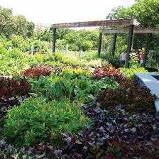 Elegant Edible Garden Design Gardening Mother Earth Living Edible Garden Garden Design Garden Design Pictures