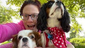 Fundraiser for Robert San Juan by Robert San Juan : Support Laura Hayden's  mental health healing