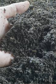 Read the label of the fertilizer for more dosages. How To Fertilize Cucumber Plants For Your Best Harvest Ever