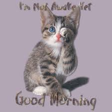 Dreamies De Yj4z1eazmjx Gif Good Morning Cat Cute Cat Gif Morning Cat