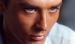 Would Alain Delon still be considered hot by 2023 standards? : r/QOVESStudio