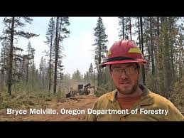 Oregon department of forestry's mission is to serve the people of oregon by protecting, managing, and promoting stewardship of oregon's forests to enhance environmental, economic, and community sustainability. Bryce Melville From Oregon Dept Of Forestry Explains Fuels Reduction Fireline Construction Youtube